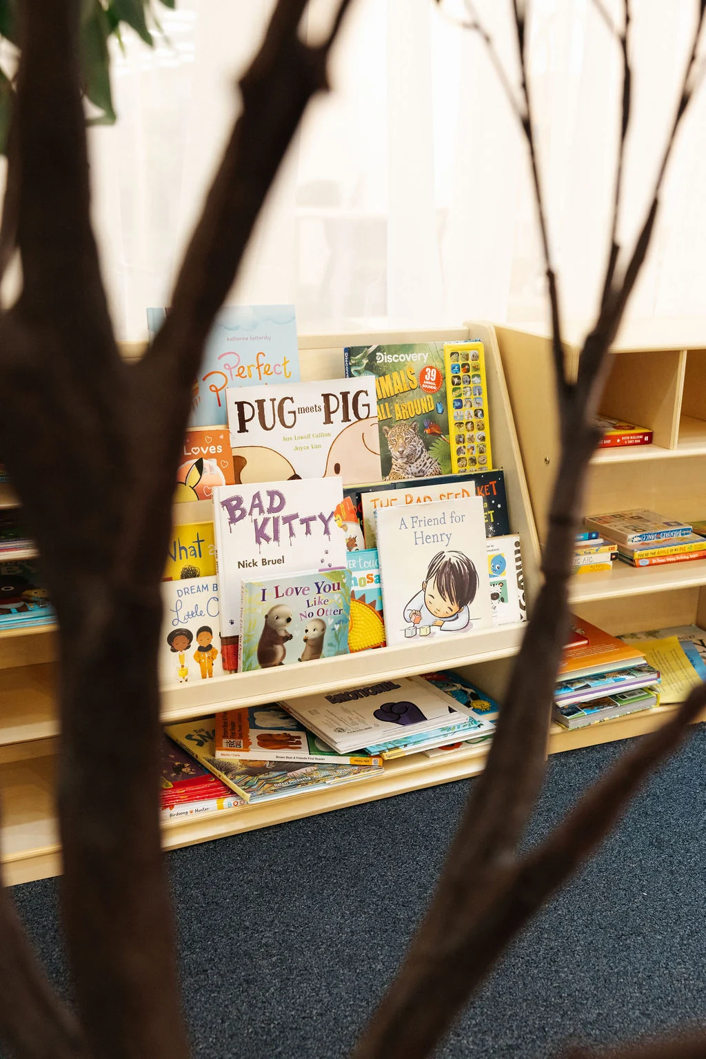 Carnaby book collection for curious young readers